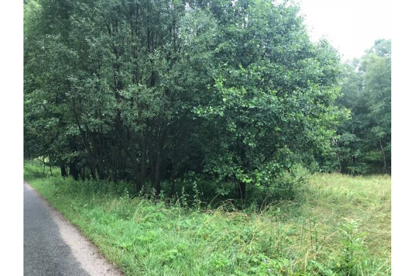 dolnośląskie, kłodzki, Kudowa-Zdr&oacute;j, Działka na sprzedaż